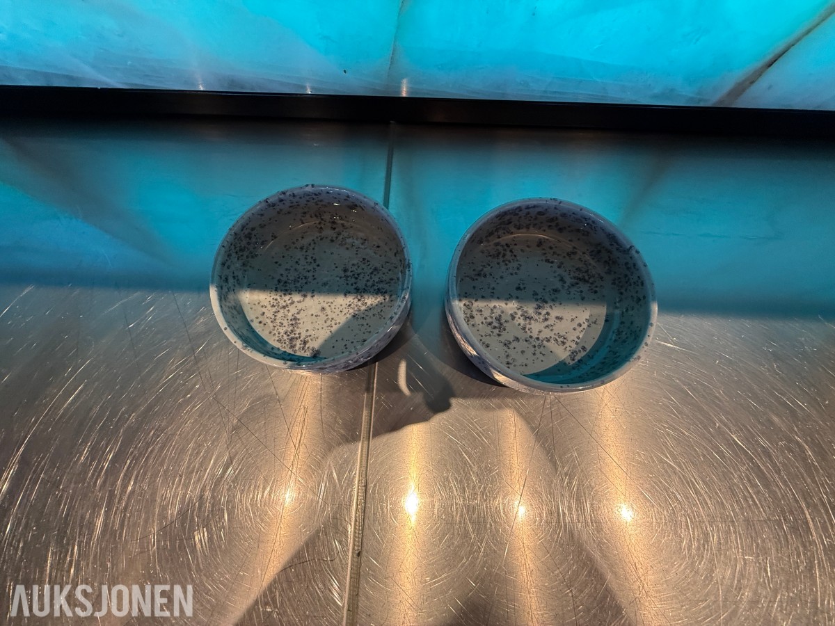 2 stk. serveringsskåler fra Playground – Ø 16 cm – restaurantutstyr