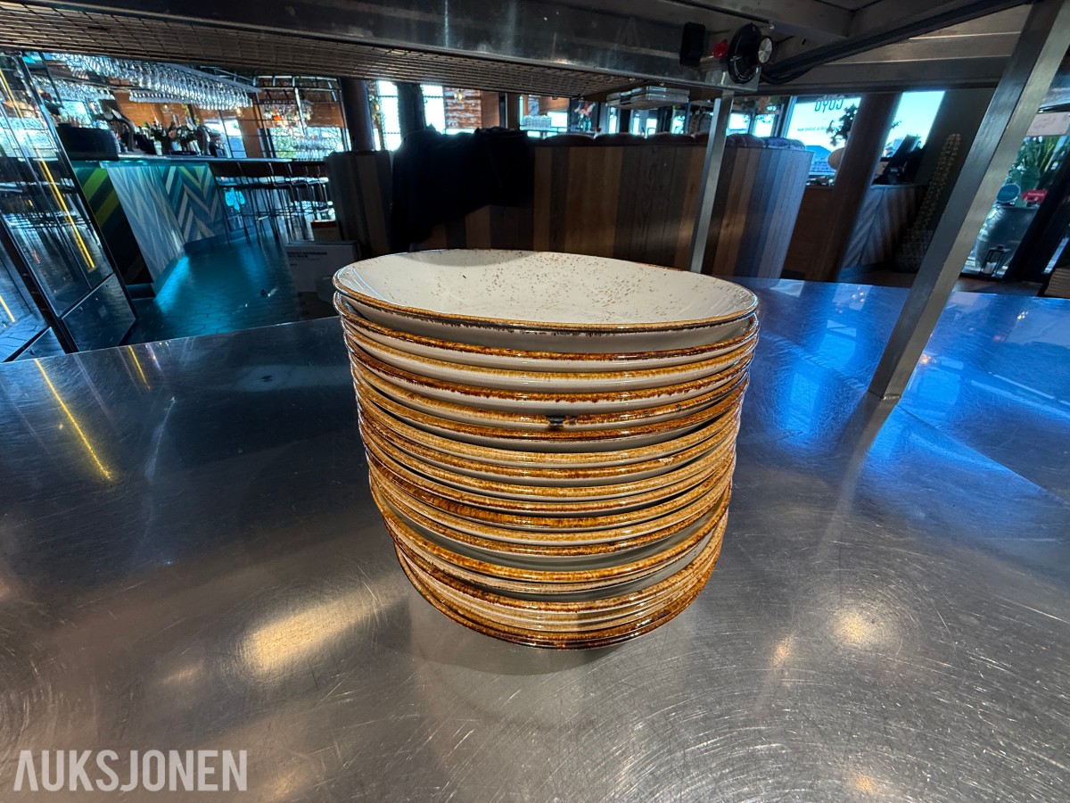 20 stk. Steelite International serveringsskåler – Ø 21 cm – rustikk utførelse