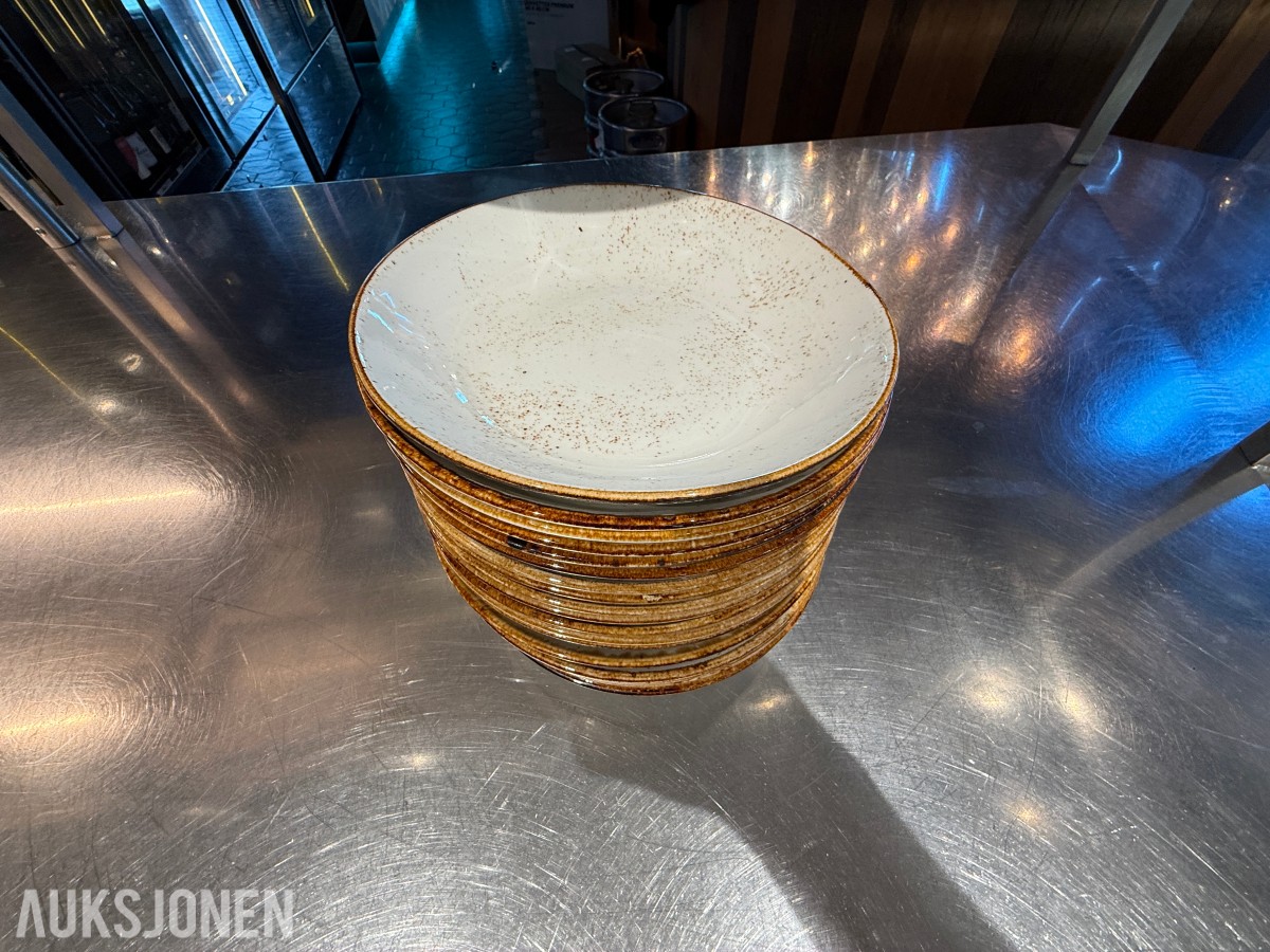 20 stk. Steelite International serveringsskåler – Ø 21 cm – rustikk utførelse