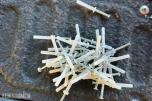 Diverse plugger og skruer til feste i vegg