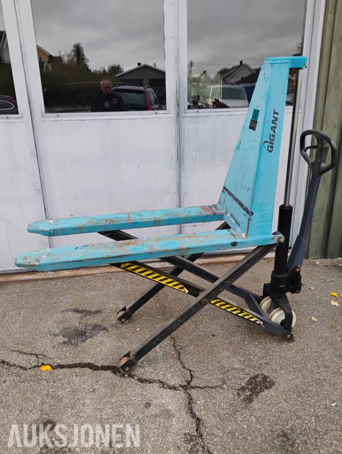 Gigant Pallejekk