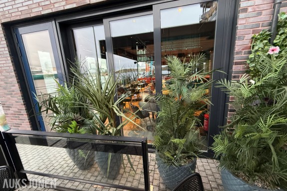 Stort parti blomsterpotter og planter – Diverse størrelser og utførelser 