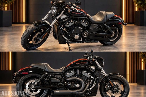 2009 Harley-Davidson VRSC DX NIGHT ROD SPECIAL - 17.000km 