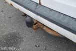 2010 Ford TRANSIT CONNECT 1.8-75 D varebil, 126646km
