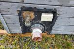 2008 MOELVEN 501 BRAKKE 7,4 x 2,5 