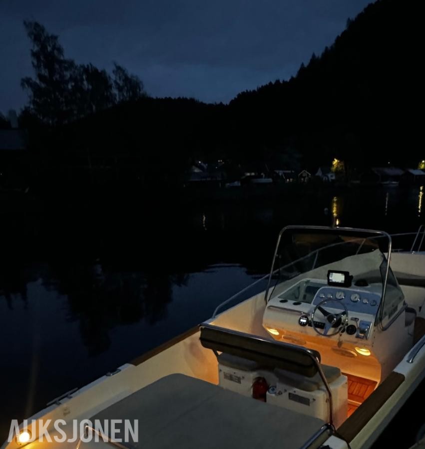 2000 Goldfish 21 sport båt