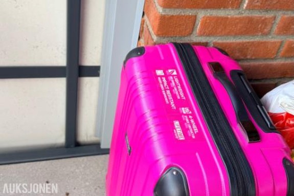 2026 Kenneth cole OUT OF BOUNDS LIGHTWEIGHT HARD SIDE SPINNER SUITCASE