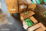 Stort parti 12v pærer de fleste varianter
