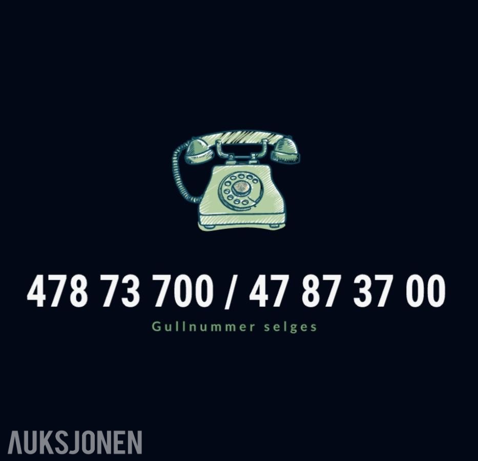 Gullnummer: 478 73 700 / 47 87 37 00