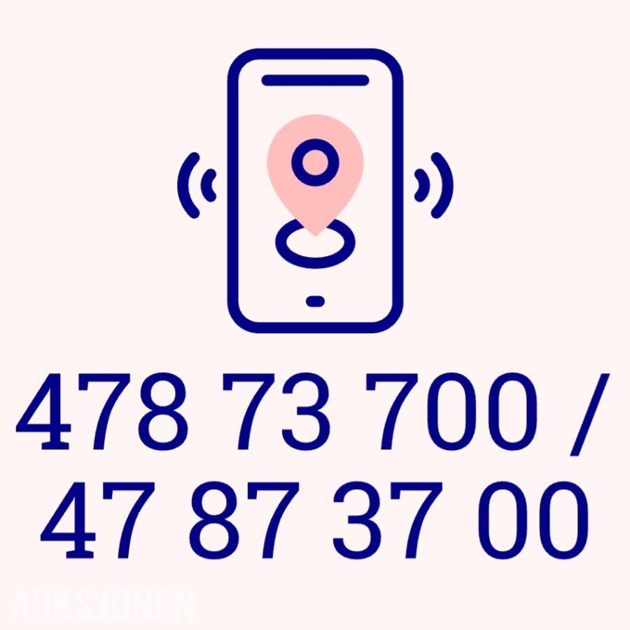Gullnummer: 478 73 700 / 47 87 37 00