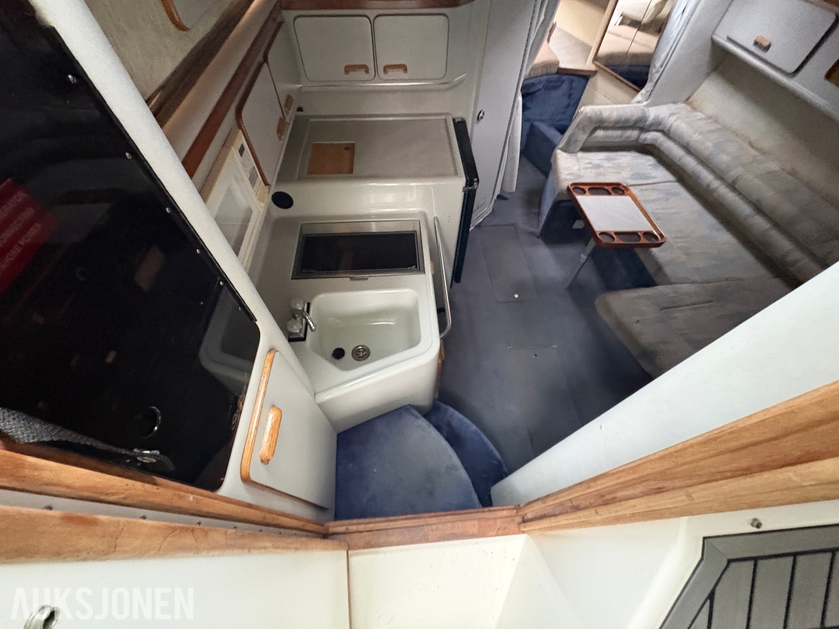 1990 Sea Ray Sundancer 310