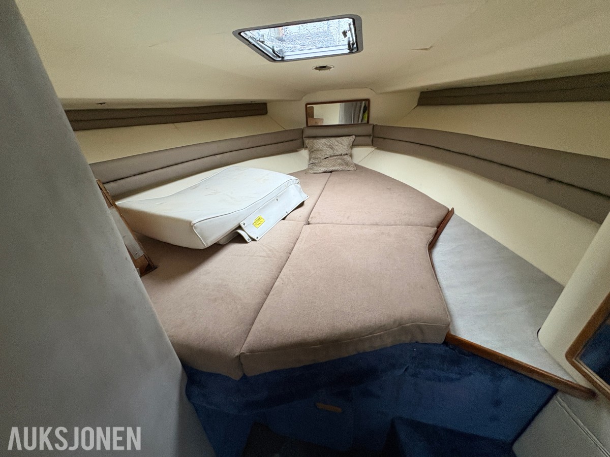 1990 Sea Ray Sundancer 310