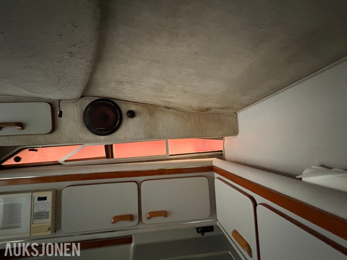 1990 Sea Ray Sundancer 310