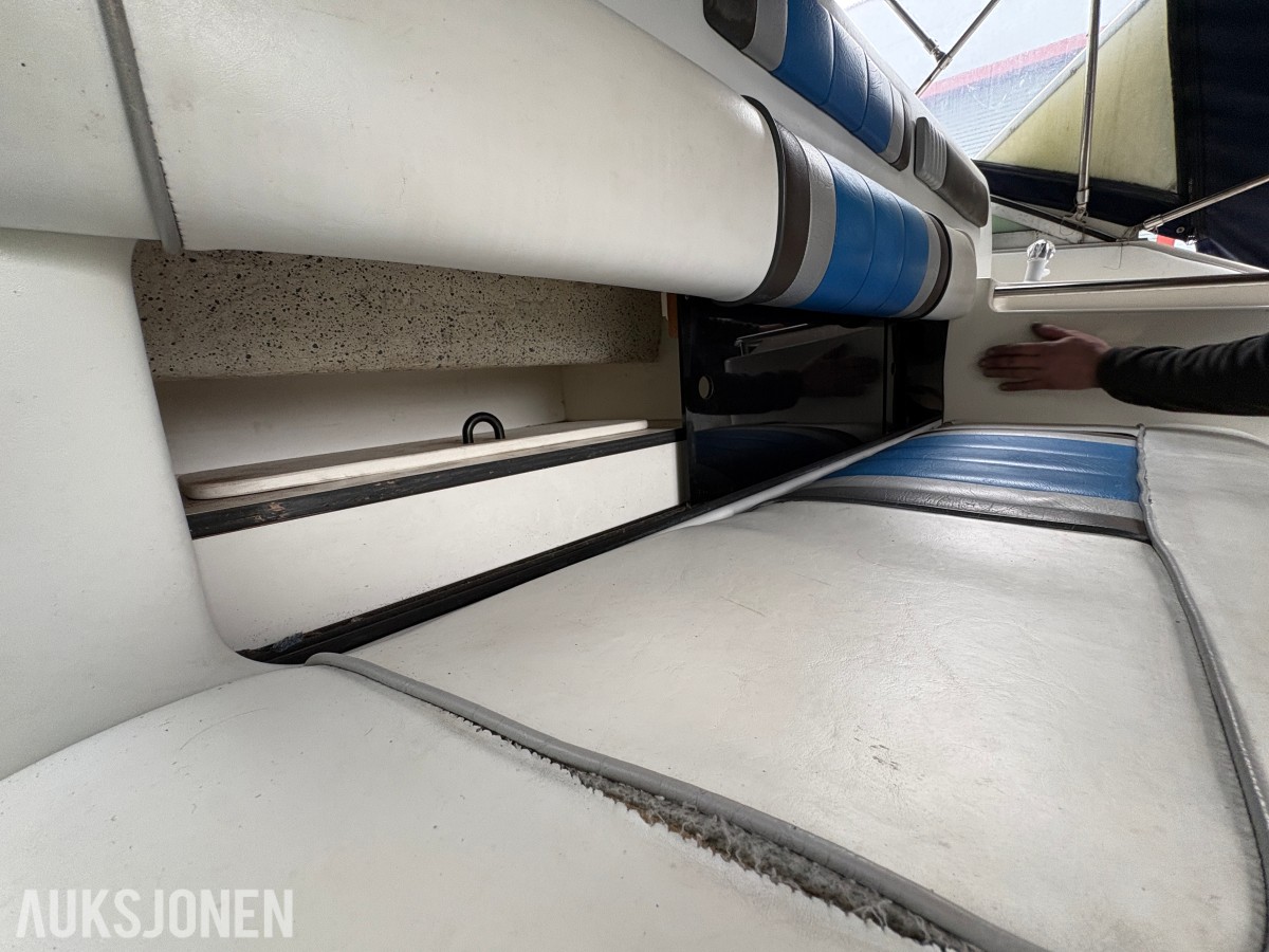 1990 Sea Ray Sundancer 310