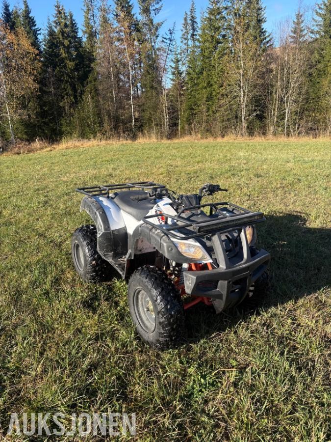 2020 Kayo Bull 150CC ATV - ingen minstepris