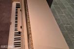 Petrof Piano Petrof
