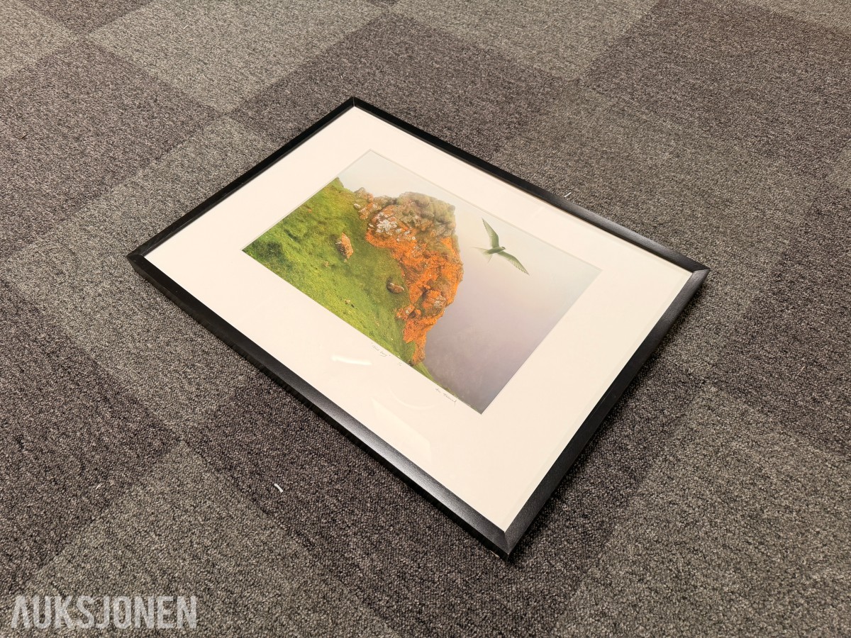Atle Helland - «Gult berg»