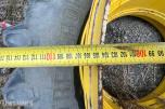 Trelleborg TM800, 650/65R42 dekk med felg til tvillinghjul, 2 stk