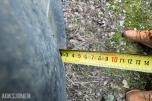Trelleborg TM800, 650/65R42 dekk med felg til tvillinghjul, 2 stk
