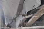 1989 Chevrolet Suburban 6.2 Diesel 143hk 4X4 Automat *Ingen minstepris*
