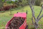 2022 Hetch 500kg minidumper - MVA FRI