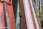 1988 ORKEL TRAKTORTILHENGER MED TIPP