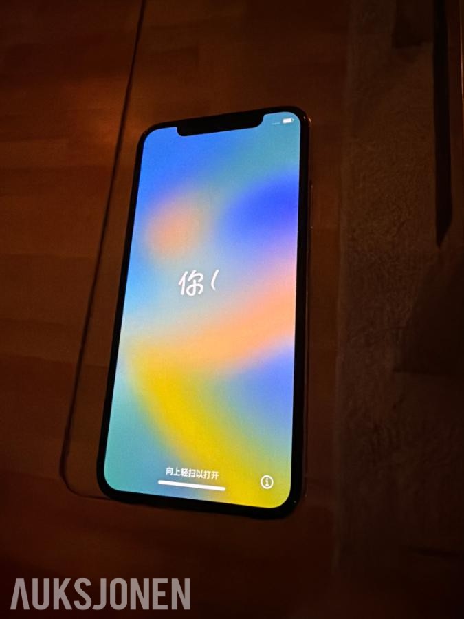 2019 iPhone XS