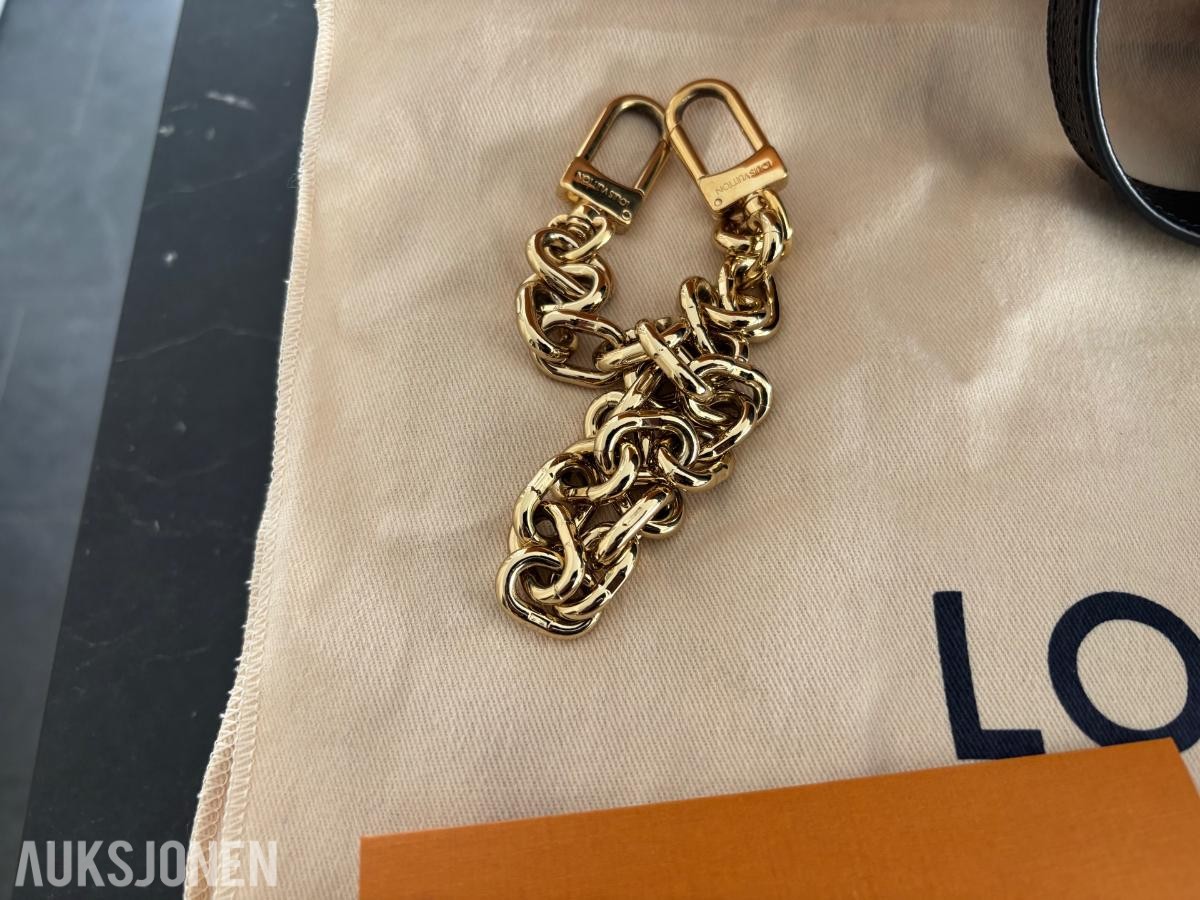 2024 Louis Vuitton Hobo Loop
