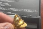 21 karat Gullring 