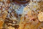 Diamant kjernebor betong diverse dimensjoner