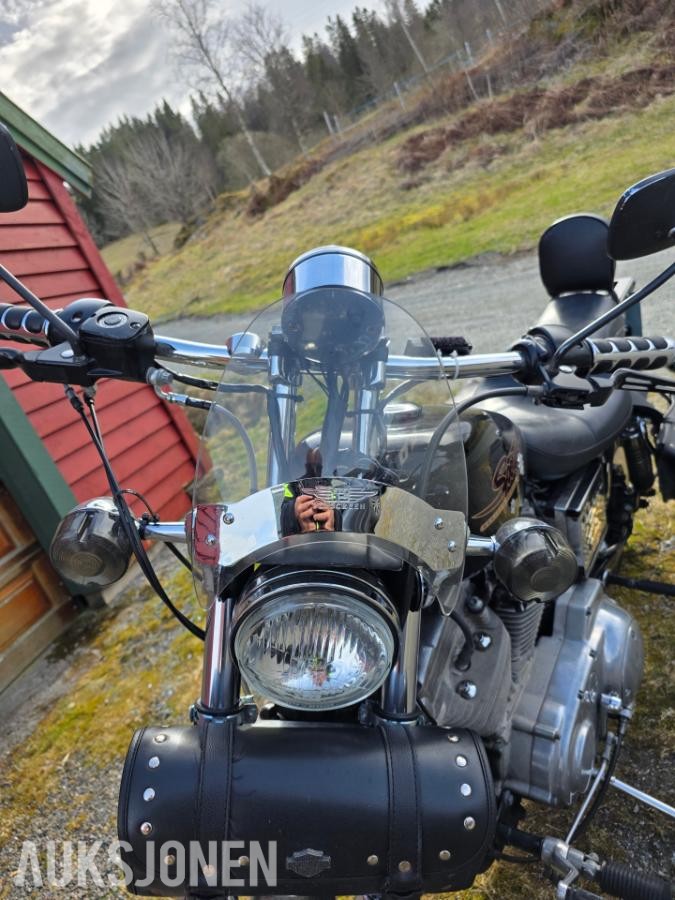 1996 Harley-Davidson XL 883 Sportster - veteran