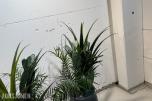 2 store kunstige plantearrangementer i høye krukker