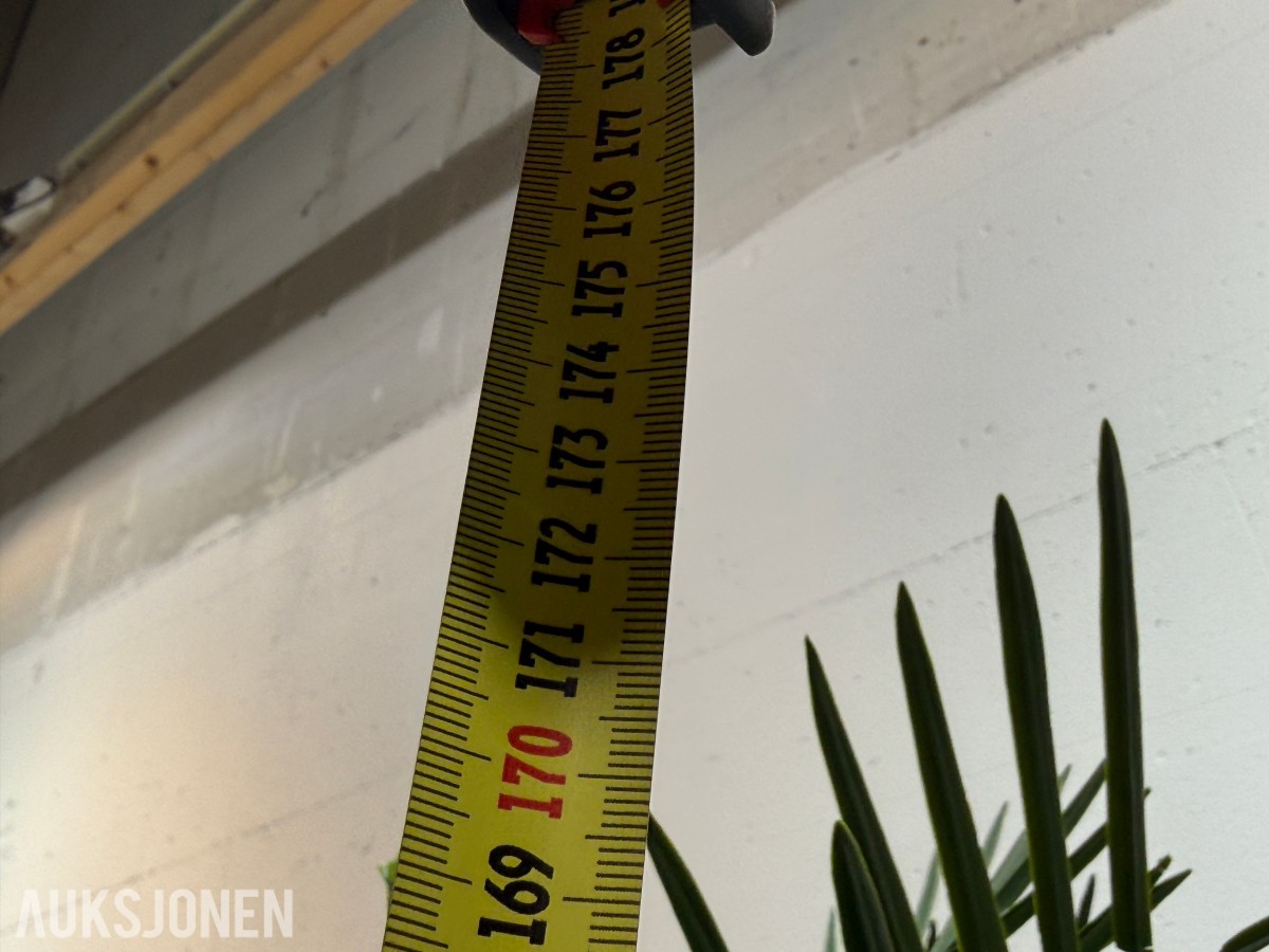 2 store kunstige palmeplanter i dekorative krukker
