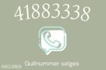 Gullnummer: 41883338 